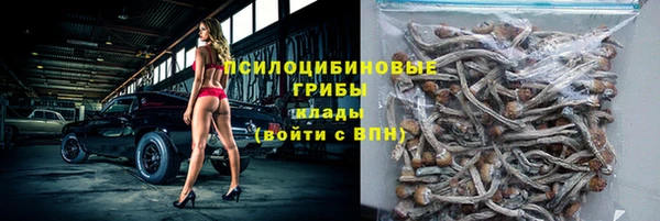 Альфа ПВП Арсеньев