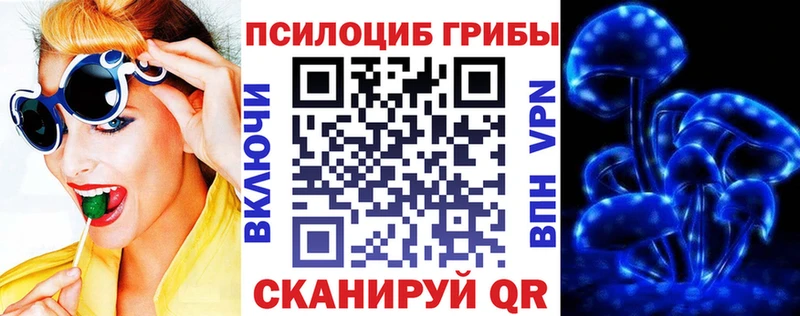 наркотики  Белорецк  Галлюциногенные грибы прущие грибы 