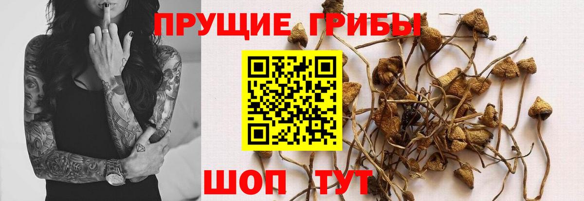 Галлюциногенные грибы Psilocybe  Псилоцибиновые грибы Magic Shrooms  Вход с VPN  Белорецк 